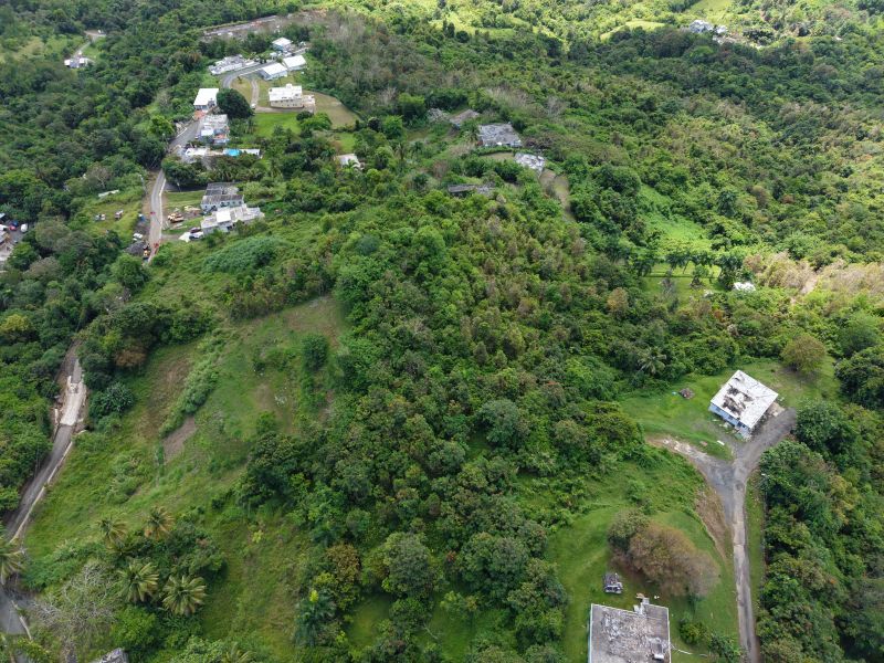 Bo Carruzo Carr 857 Km 9.5 Carolina 00987 PR