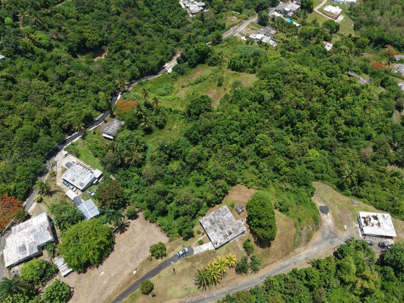 Bo Carruzo Carr 857 Km 9.5 Carolina 00987 PR