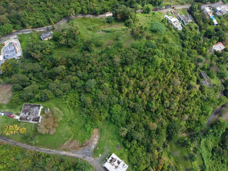 Bo Carruzo Carr 857 Km 9.5 Carolina 00987 PR