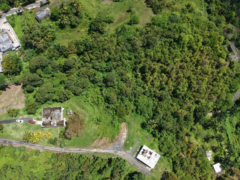 Bo Carruzo Carr 857 Km 9.5 Carolina 00987 PR