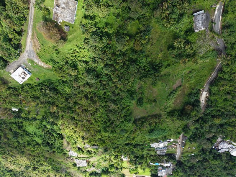 Bo Carruzo Carr 857 Km 9.5 Carolina 00987 PR