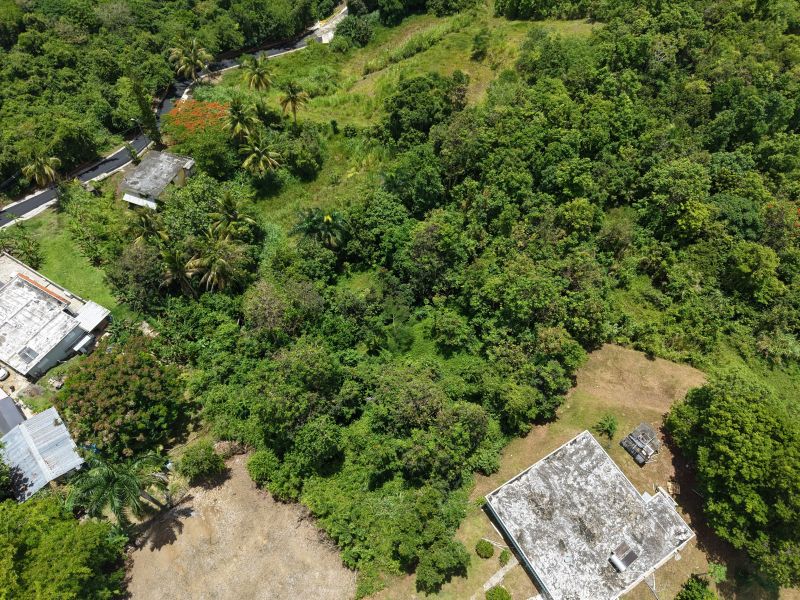 Bo Carruzo Carr 857 Km 9.5 Carolina 00987 PR