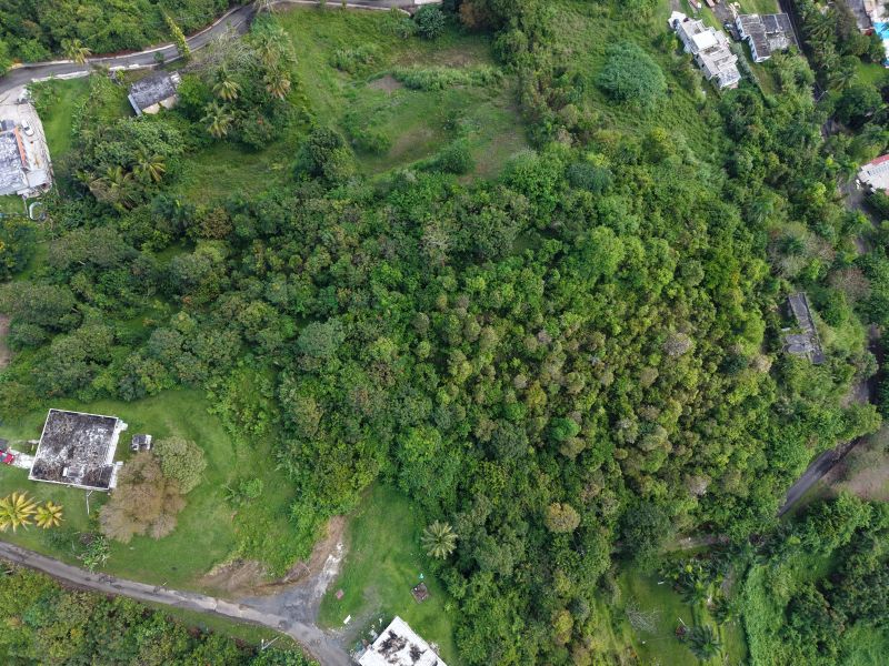 Bo Carruzo Carr 857 Km 9.5 Carolina 00987 PR