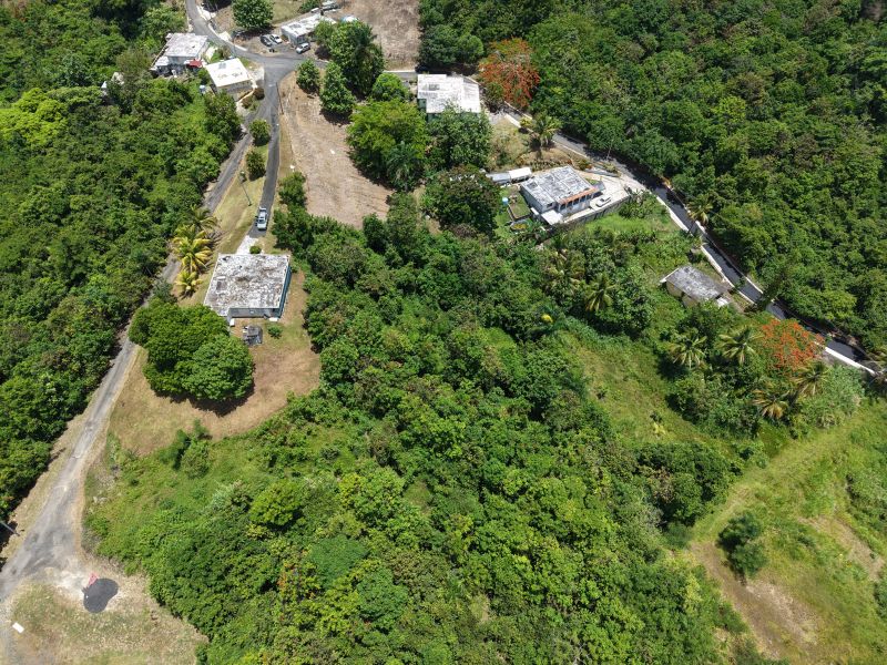 Bo Carruzo Carr 857 Km 9.5 Carolina 00987 PR