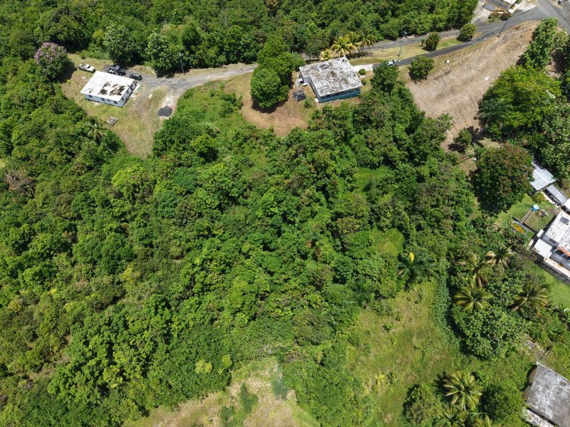 Bo Carruzo Carr 857 Km 9.5 Carolina 00987 PR