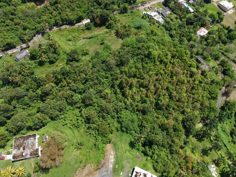 Bo Carruzo Carr 857 Km 9.5 Carolina 00987 PR