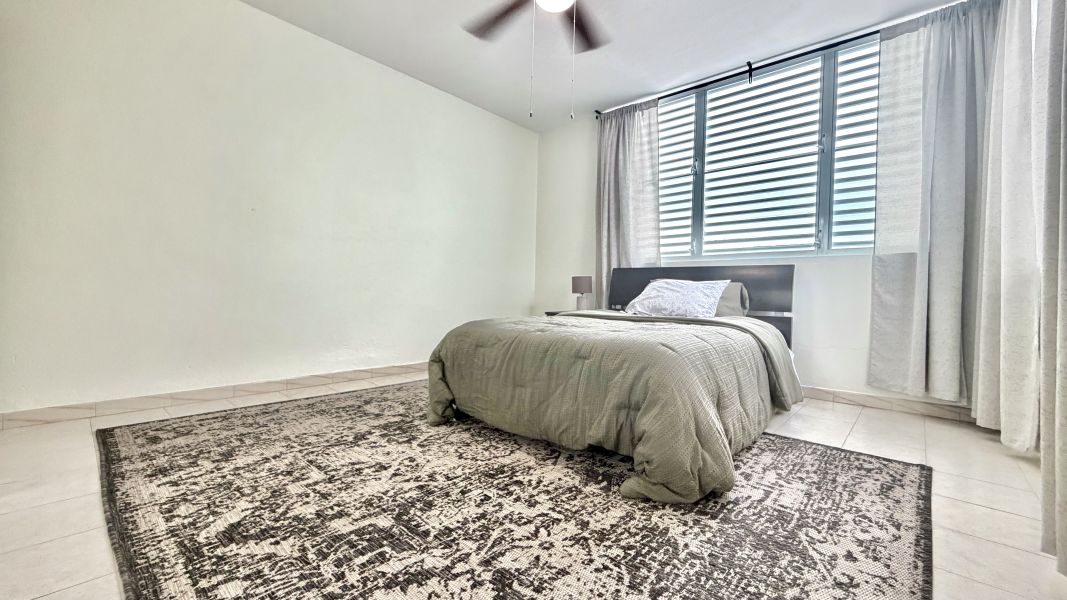 Urb Santa Paula Calle Las Colinas #94, Guaynabo - 18