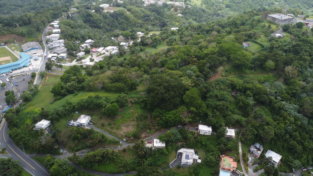 Carr 835 Km 1.6 Bo Mamey 1 Sector Jose Maria Marti Guaynabo 00971 PR