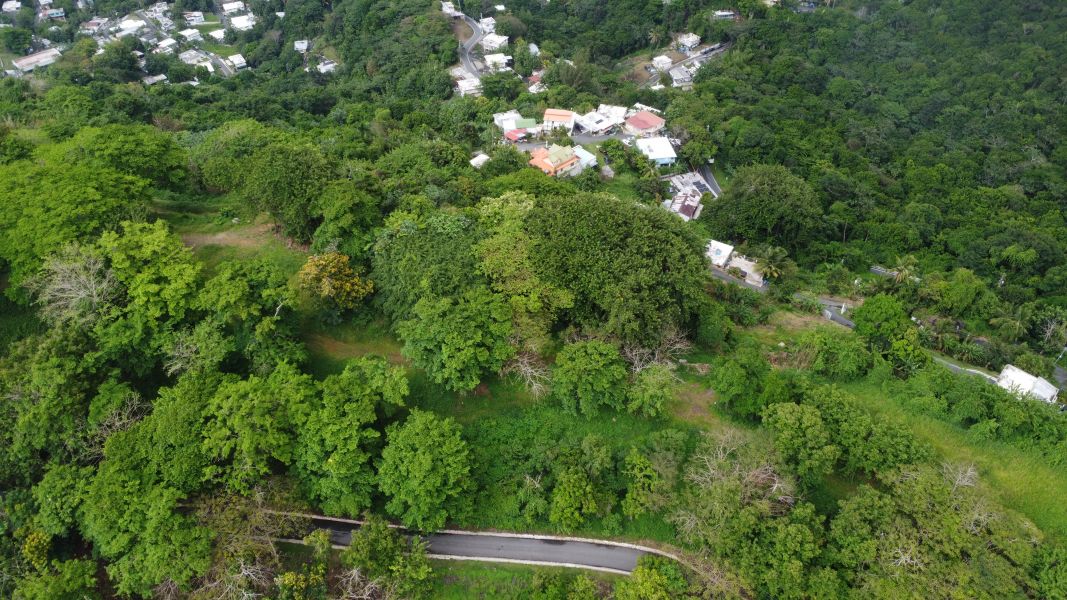 Carr 835 Km 1.6 Bo Mamey 1 Sector Jose Maria Marti Guaynabo 00971 PR