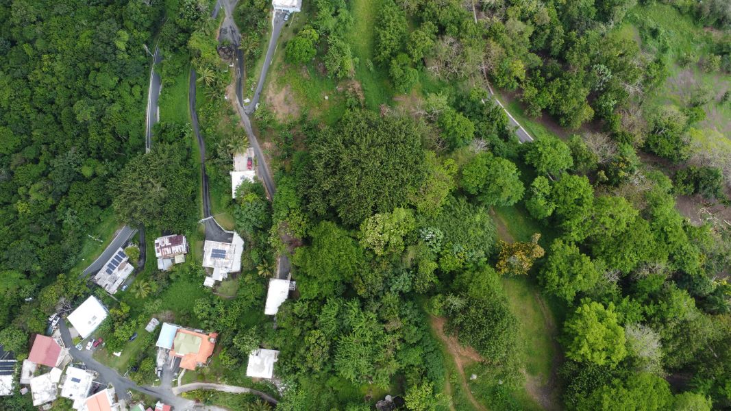 Carr 835 Km 1.6 Bo Mamey 1 Sector Jose Maria Marti Guaynabo 00971 PR