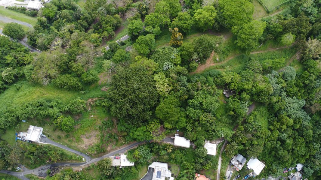 Carr 835 Km 1.6 Bo Mamey 1 Sector Jose Maria Marti Guaynabo 00971 PR