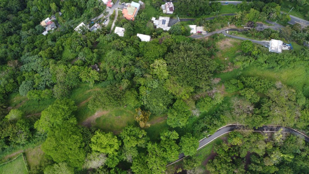 Carr 835 Km 1.6 Bo Mamey 1 Sector Jose Maria Marti Guaynabo 00971 PR