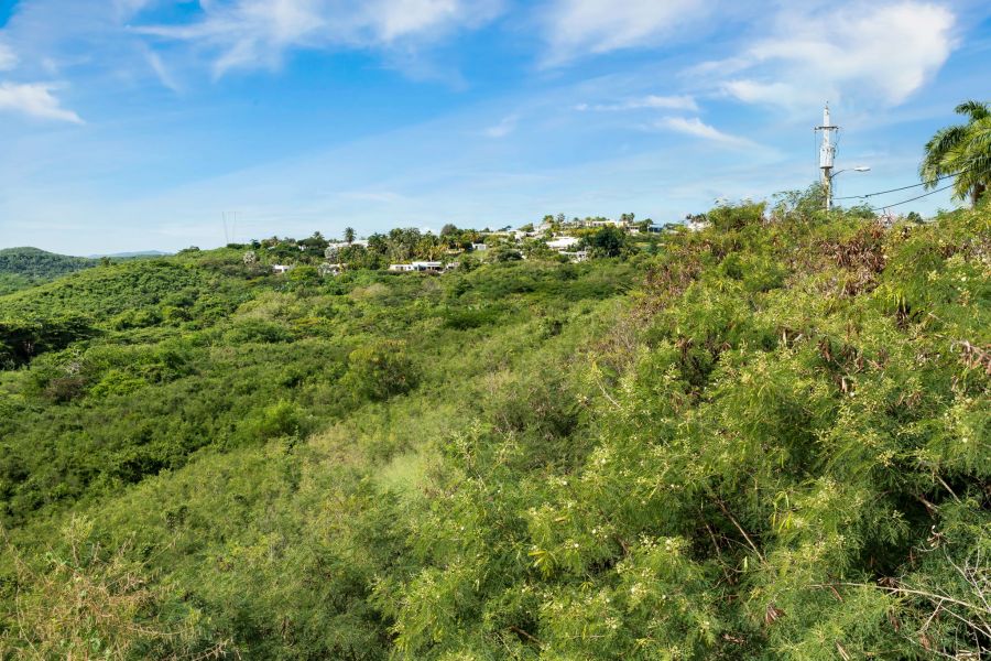 Urb El Monte 4ta Extension Calle 5 #44 Ponce 00780 PR