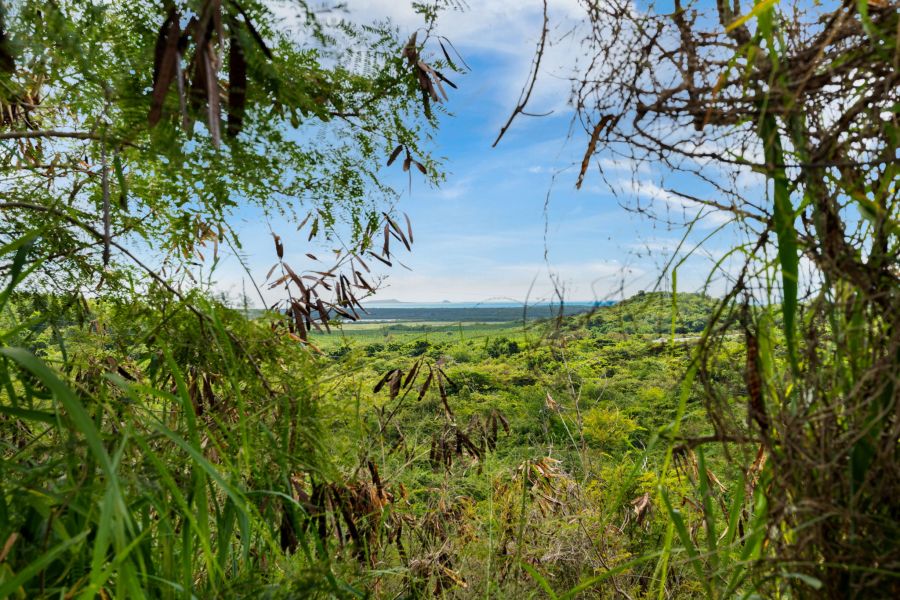 Urb El Monte 4ta Extension Calle 5 #44 Ponce 00780 PR