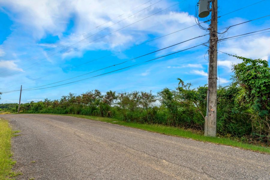 Urb El Monte 4ta Extension Calle 5 #44 Ponce 00780 PR