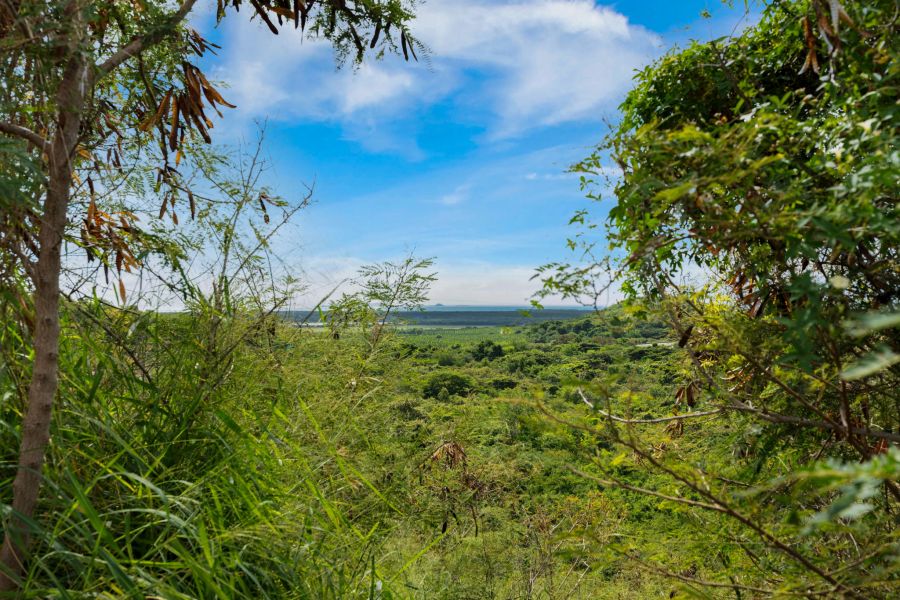 Urb El Monte 4ta Extension Calle 5 #44 Ponce 00780 PR