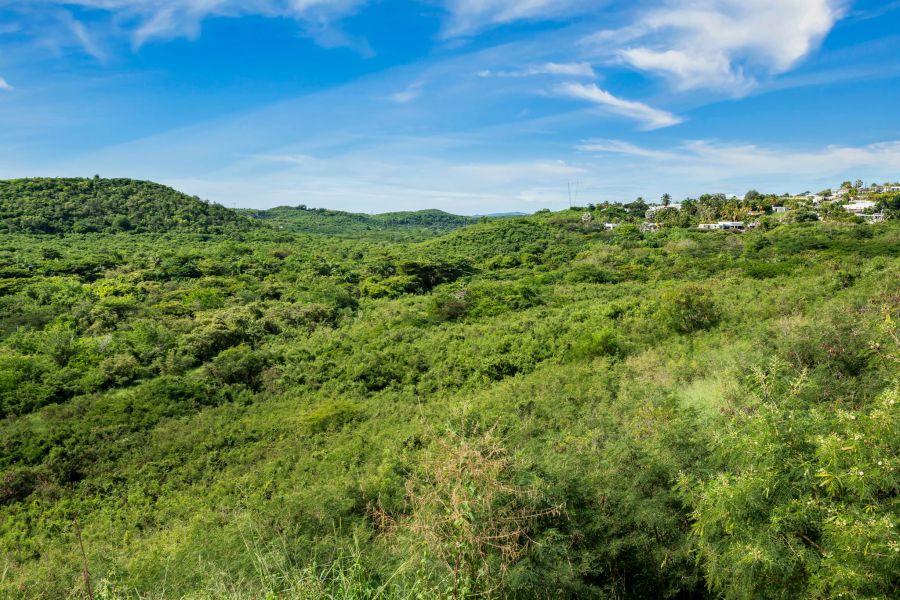 Urb El Monte 4ta Extension Calle 5 #44 Ponce 00780 PR