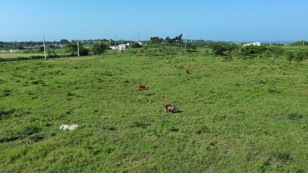 Carr 112 Km 2.2 Bo Bejucos Isabela 00662 PR