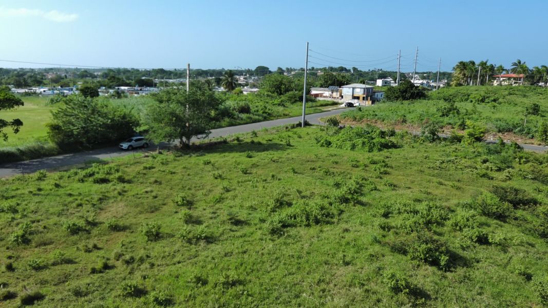 Carr 112 Km 2.2 Bo Bejucos Isabela 00662 PR