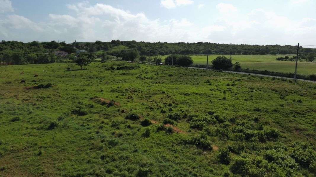 Carr 112 Km 2.2 Bo Bejucos Isabela 00662 PR