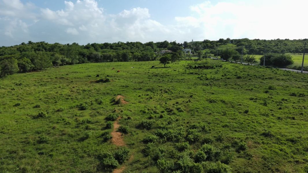 Carr 112 Km 2.2 Bo Bejucos Isabela 00662 PR