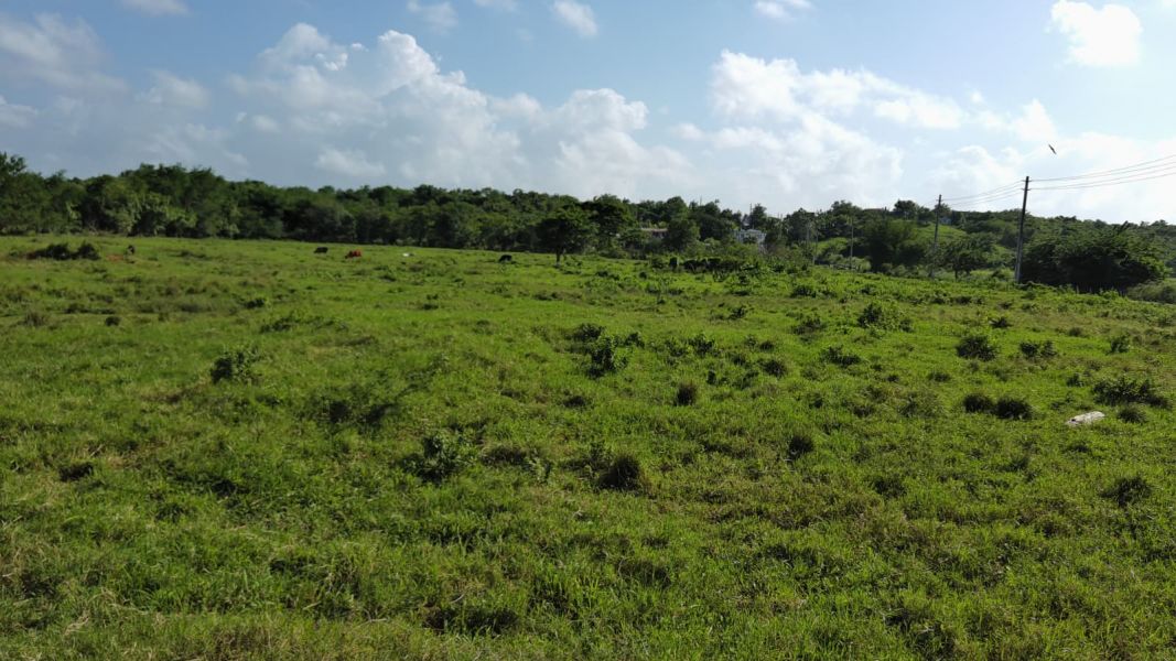 Carr 112 Km 2.2 Bo Bejucos Isabela 00662 PR