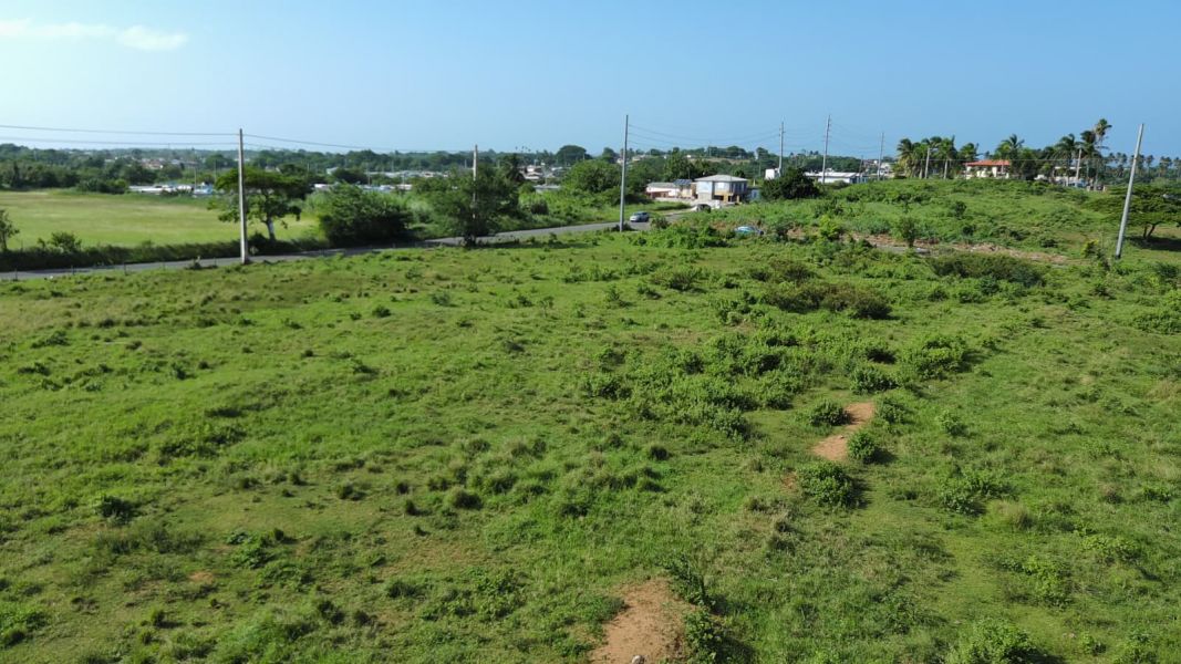 Carr 112 Km 2.2 Bo Bejucos Isabela 00662 PR