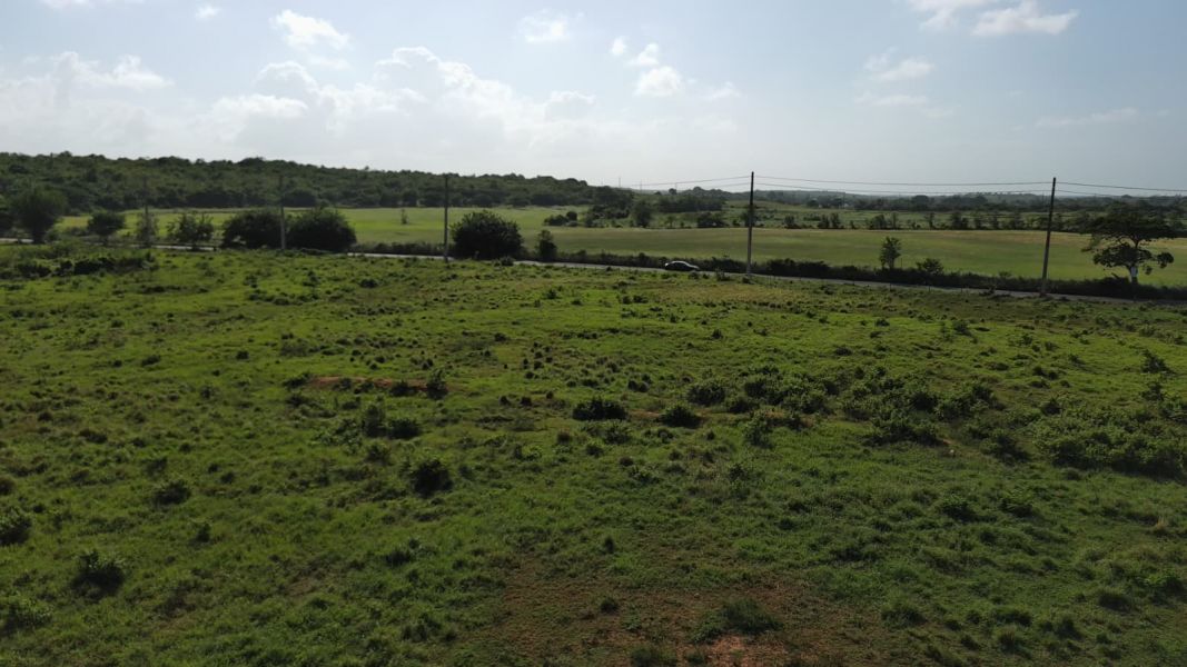 Carr 112 Km 2.2 Bo Bejucos Isabela 00662 PR