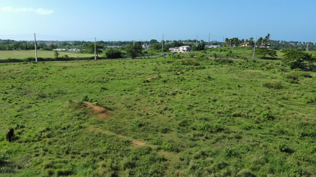 Carr 112 Km 2.2 Bo Bejucos Isabela 00662 PR