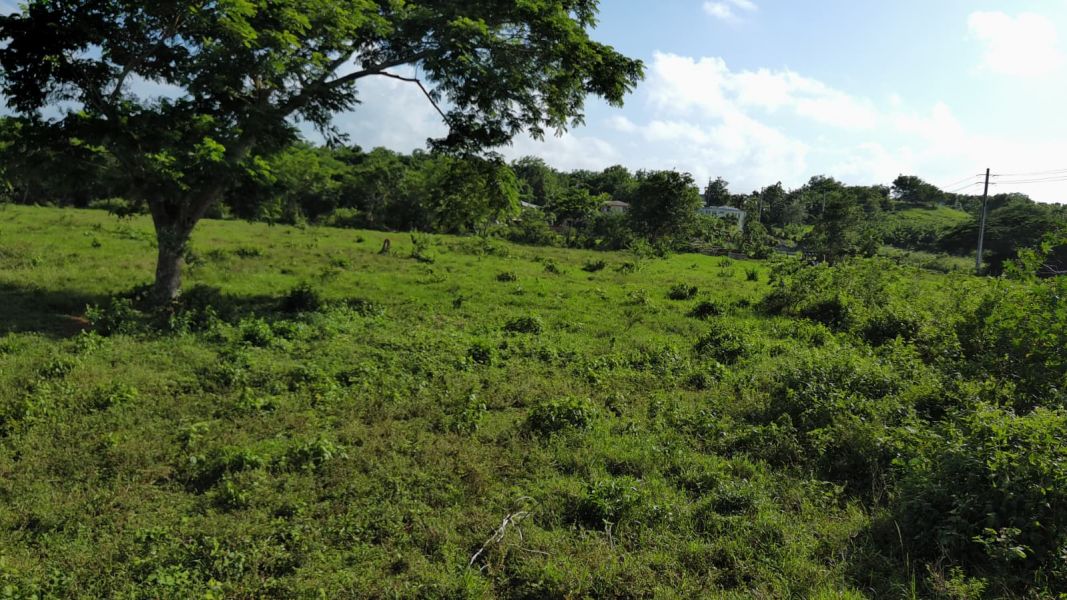 Carr 112 Km 2.2 Bo Bejucos Isabela 00662 PR