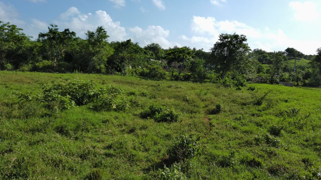 Carr 112 Km 2.2 Bo Bejucos Isabela 00662 PR