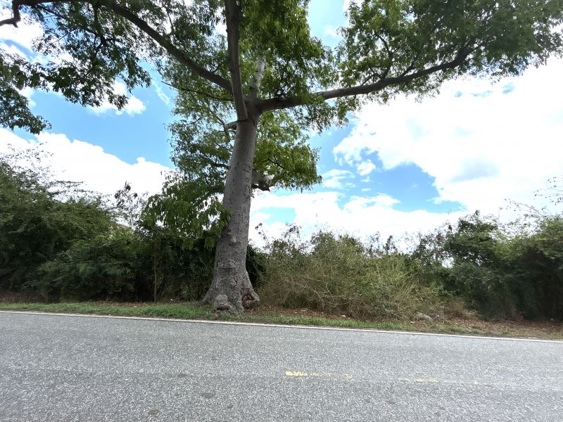 Carr 14 Km 21 Rio Cañas Abajo Juana Diaz 00795 PR