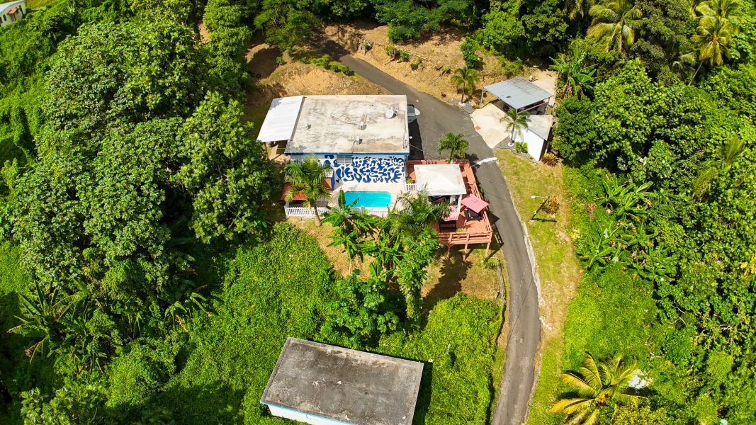 Bo Palo Seco Sector Chapala Carr 3 Ramal 759 Maunabo 00707 PR