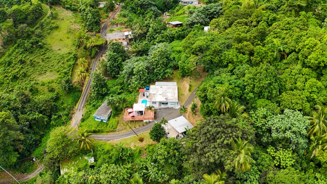 Bo Palo Seco Sector Chapala Carr 3 Ramal 759 Maunabo 00707 PR