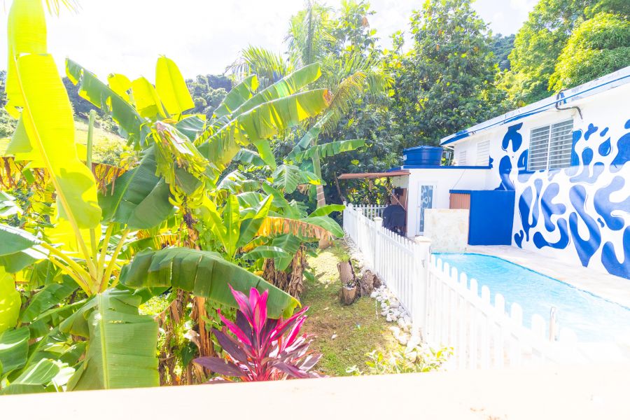 Bo Palo Seco Sector Chapala Carr 3 Ramal 759 Maunabo 00707 PR