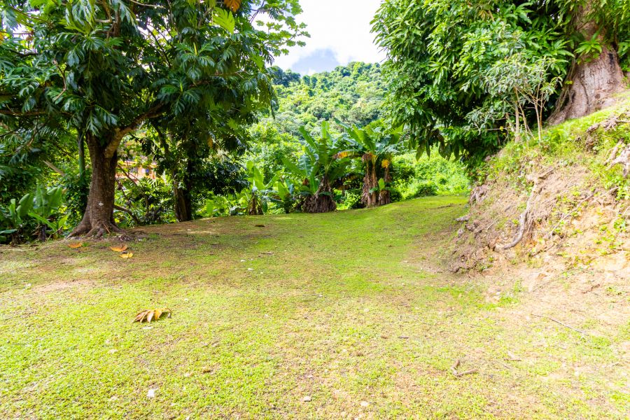 Bo Palo Seco Sector Chapala Carr 3 Ramal 759 Maunabo 00707 PR