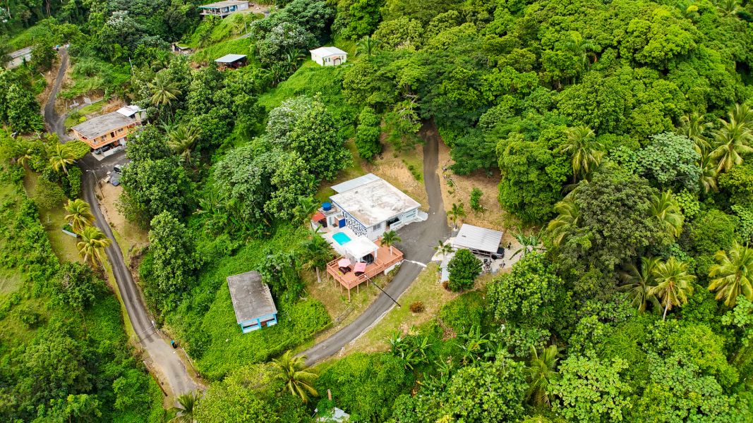 Bo Palo Seco Sector Chapala Carr 3 Ramal 759 Maunabo 00707 PR