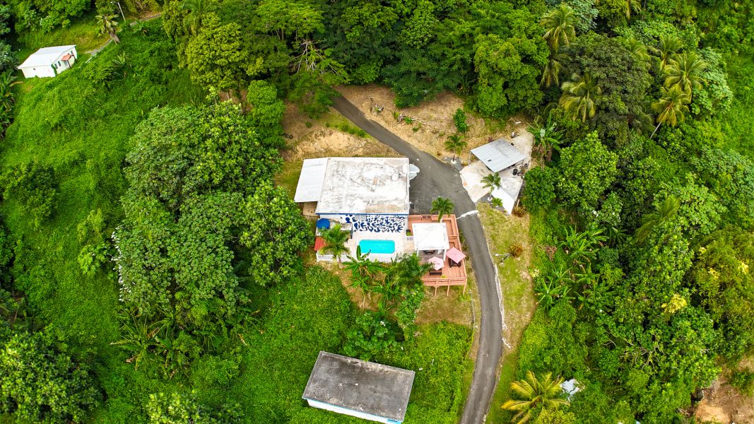 Bo Palo Seco Sector Chapala Carr 3 Ramal 759 Maunabo 00707 PR