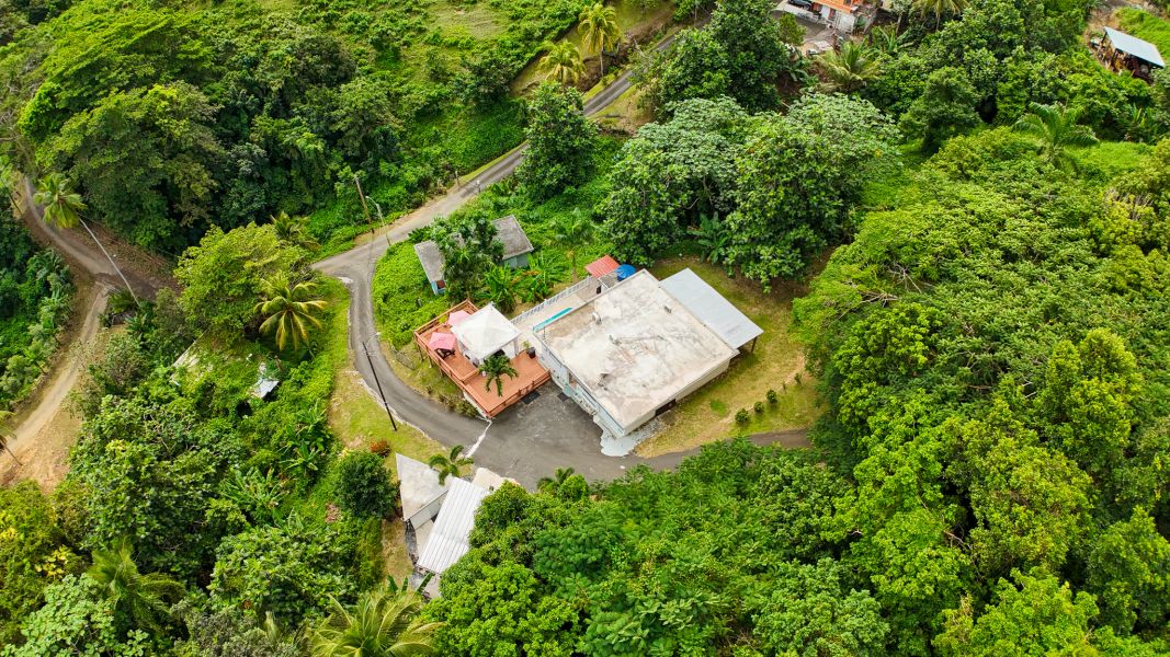 Bo Palo Seco Sector Chapala Carr 3 Ramal 759 Maunabo 00707 PR