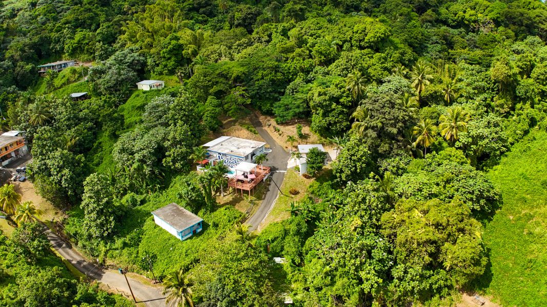 Bo Palo Seco Sector Chapala Carr 3 Ramal 759 Maunabo 00707 PR