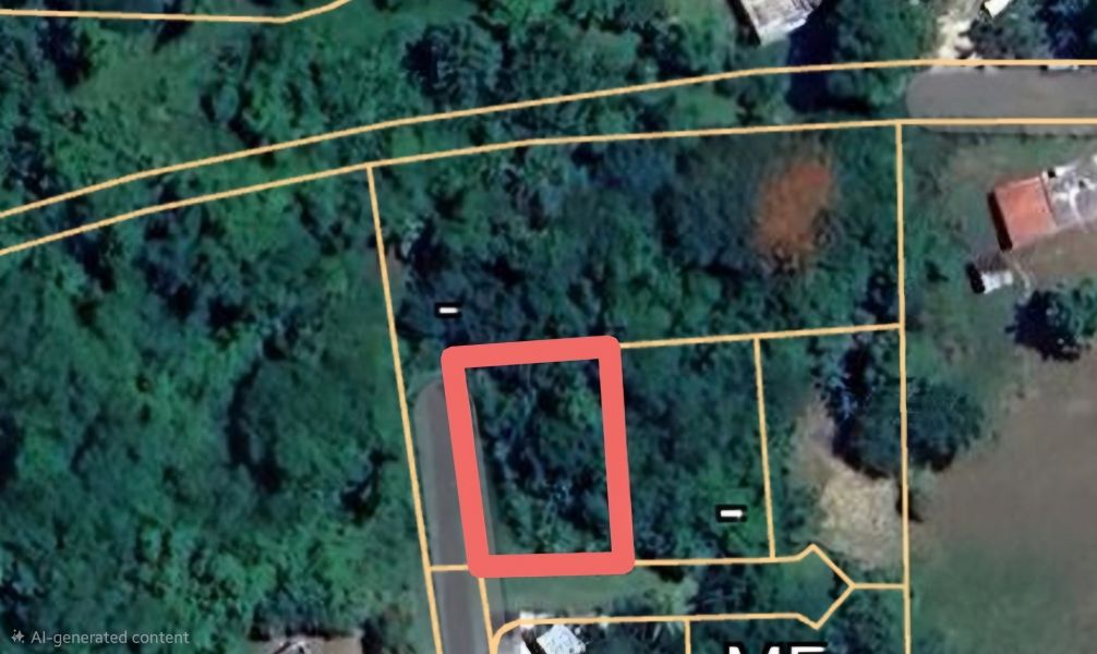 Bo Cacao Bajo Sec Los Pompos Carr 184 Km 1.0 Patillas 00723 PR