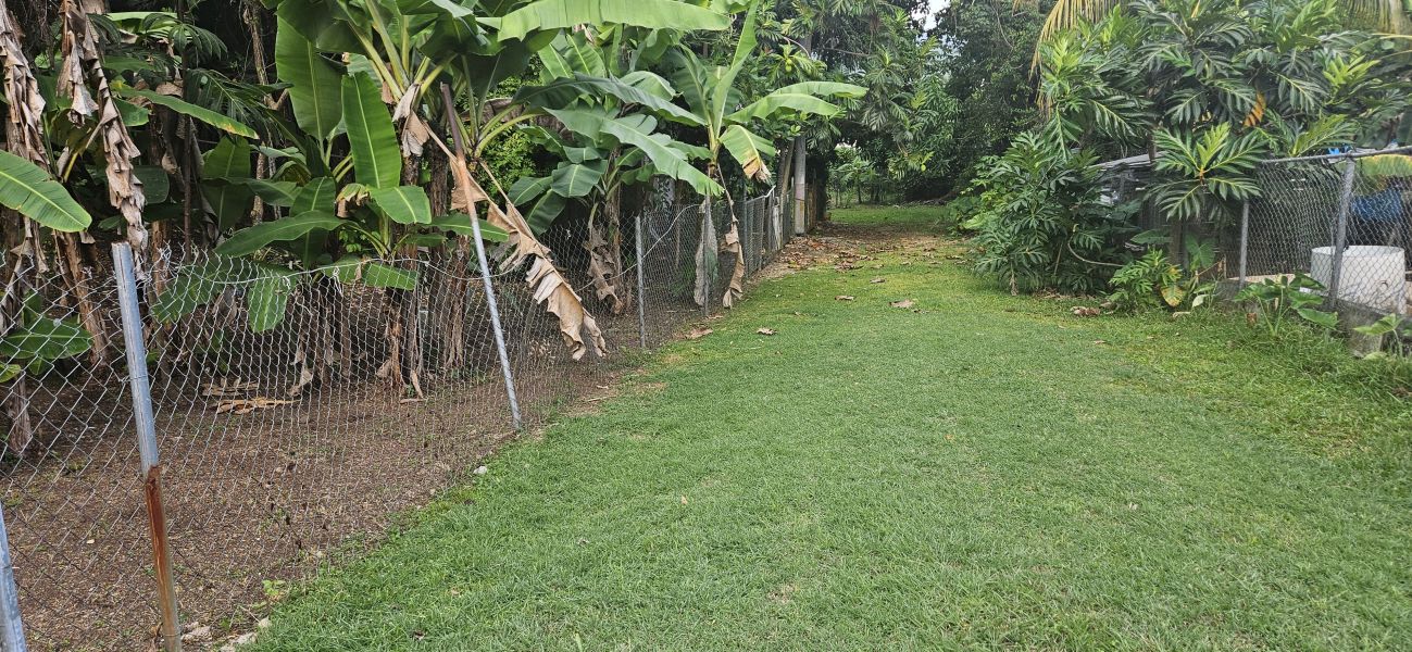 Bo Cacao Bajo Sec Los Pompos Carr 184 Km 1.0 Patillas 00723 PR