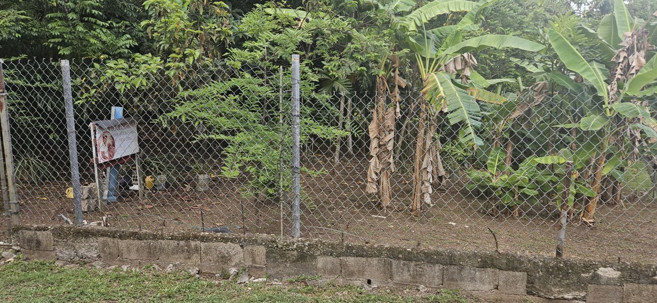 Bo Cacao Bajo Sec Los Pompos Carr 184 Km 1.0 Patillas 00723 PR