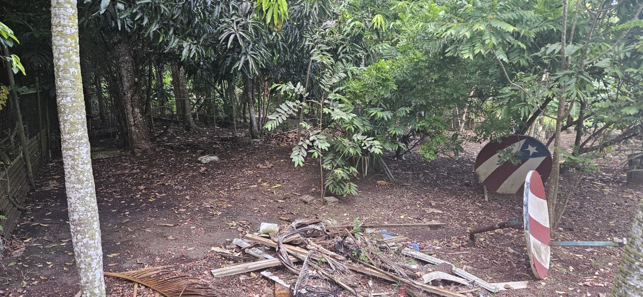 Bo Cacao Bajo Sec Los Pompos Carr 184 Km 1.0 Patillas 00723 PR