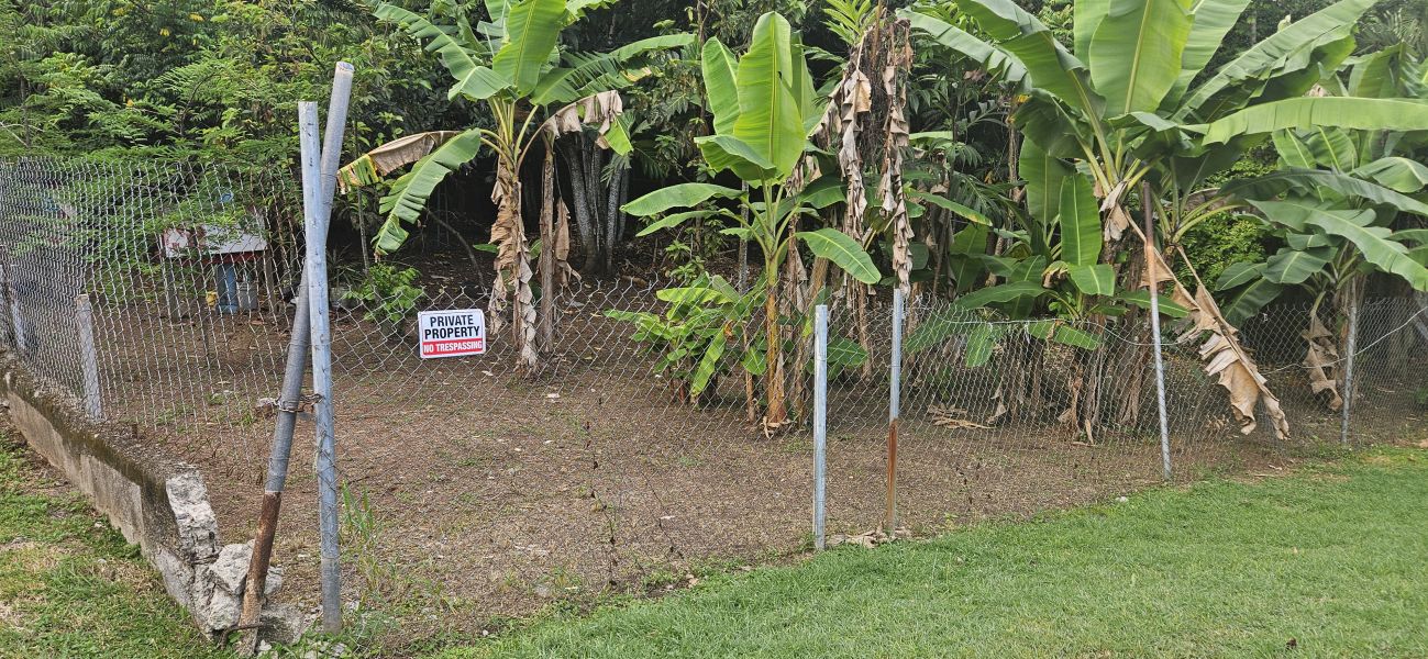 Bo Cacao Bajo Sec Los Pompos Carr 184 Km 1.0 Patillas 00723 PR