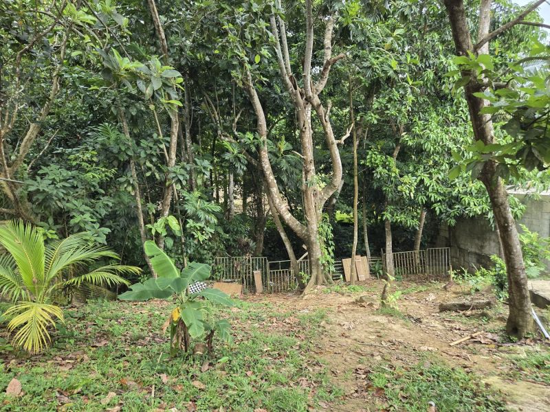 Lot 341 13 St Villas De Rio Bucarabones, Toa Alta - 15