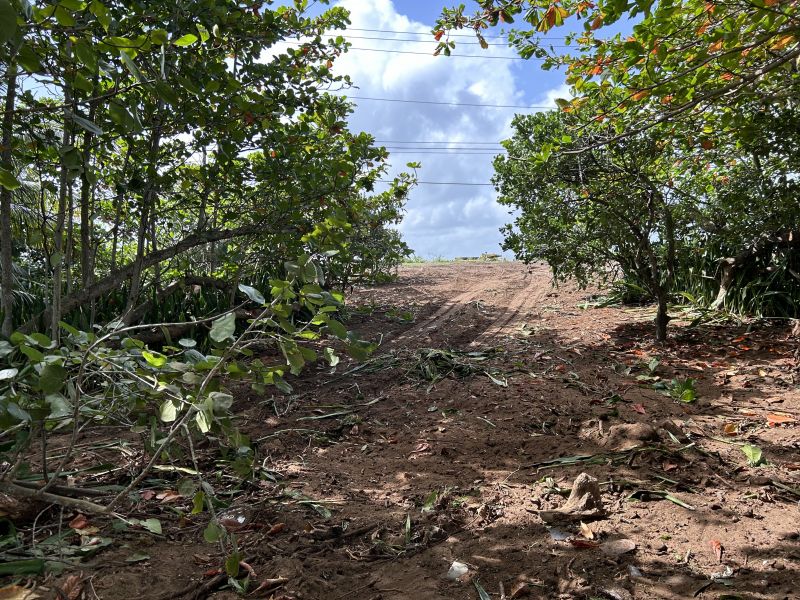 Carr 681 Km 5.5 Bo Islote - Finca #14588 Arecibo 00612 PR