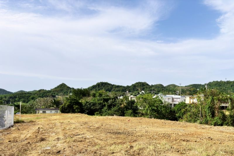 Bo Unibon Lote 2 Carr 159 Km 5.9, Morovis - 3