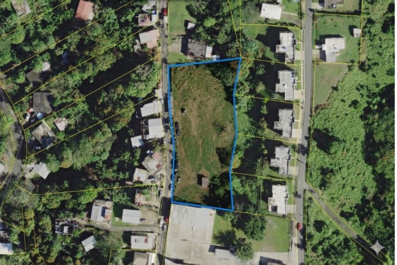 Bo Unibon Lote 2 Carr 159 Km 5.9, Morovis - 10