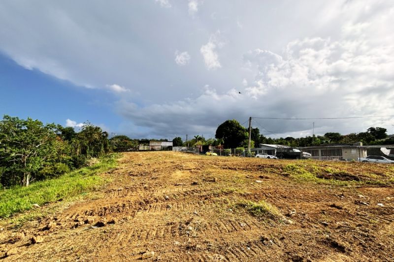 Bo Unibon Lote 2 Carr 159 Km 5.9, Morovis - 6